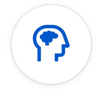 brain