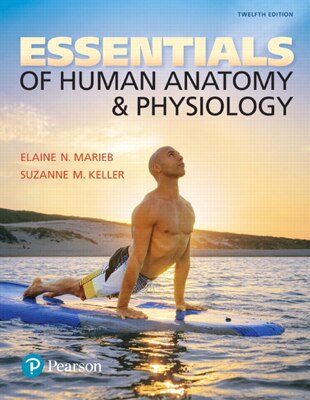 Essentials of Human Anatomy and Physiology 12th Edition | Pearson Canada
